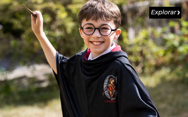 comprar disfarces harry potter